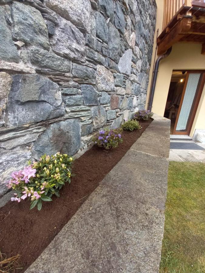Punta Vittoria Sub 14 - Residence Anderbatt Gressoney - 3 Locali - Cir N 0010 Staval Экстерьер фото