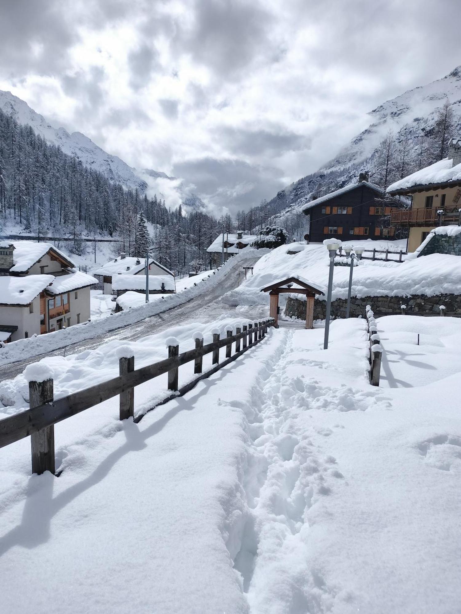 Punta Vittoria Sub 14 - Residence Anderbatt Gressoney - 3 Locali - Cir N 0010 Staval Экстерьер фото